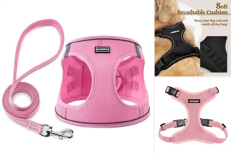 Detailed view of Best Adjustable Harnesses