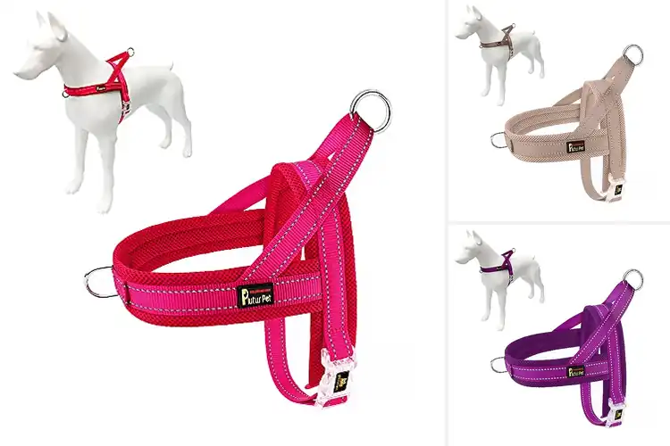 Detailed view of Best Breathable Padded Harnesses for Cool, Comfy Dog Walks