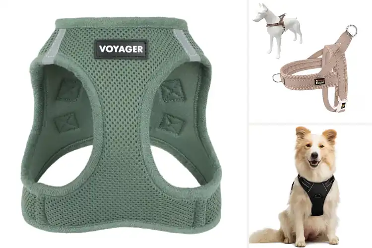 Detailed view of Best Comfortable Harnesses