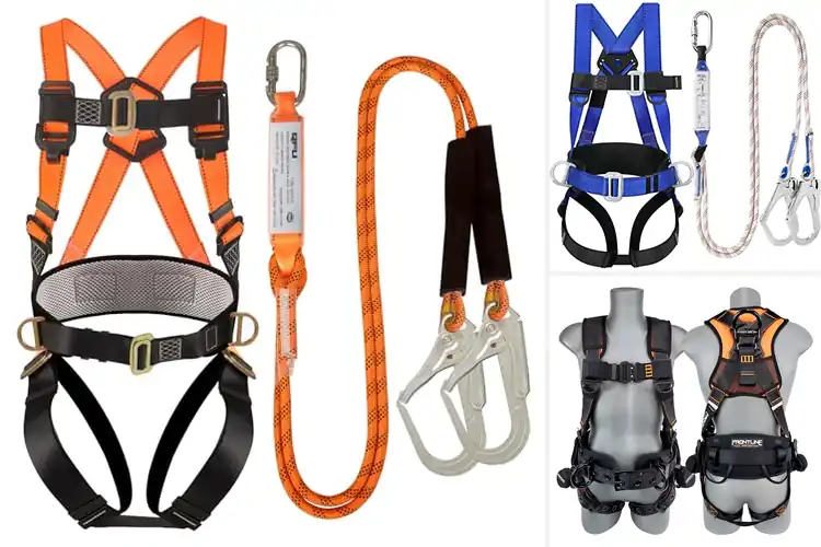 Detailed view of Best Compliance Harnesses: Unrivaled Safety & Comfort