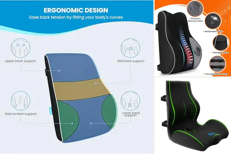 Detailed view of Best Ergonomic Back Supports for Easy, Comfortable Sitting