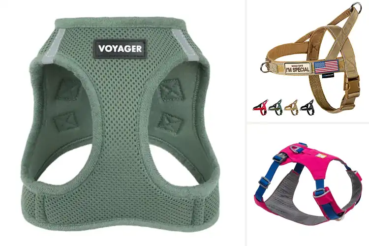 Detailed view of Best Lightweight Harnesses