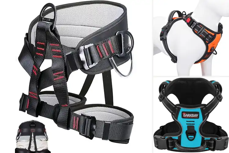 Detailed view of Best Outdoor Harnesses: Top Picks for Safe Adventures