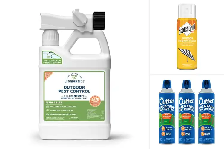 Detailed view of Best Outdoor Sprays for a Fresher, Pest‑Free Space