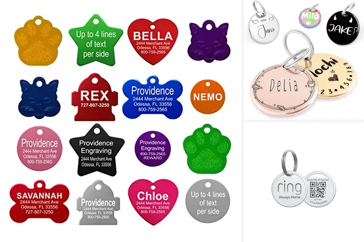 Detailed view of Best Personalized Cat Tags for Safety and Style