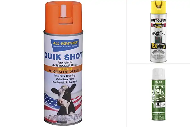 Detailed view of Best Quick-Dry Marking Sprays