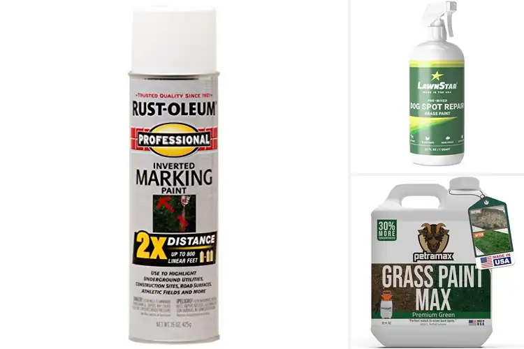 Detailed view of Best Spray Paints for Grass: Revive Your Lawn Instantly