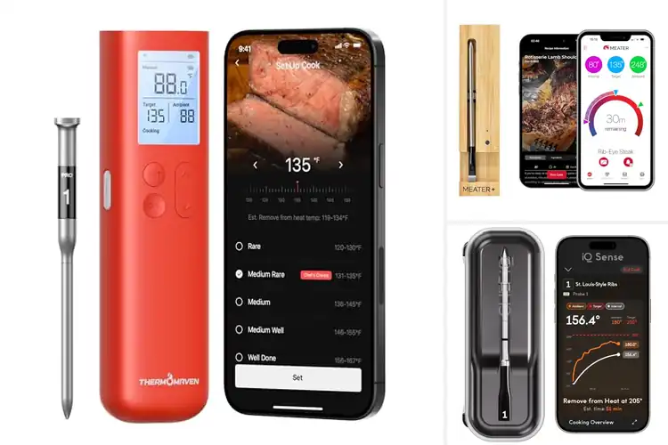 Detailed view of Best Wireless Thermometers: Cook Confidently Every Time